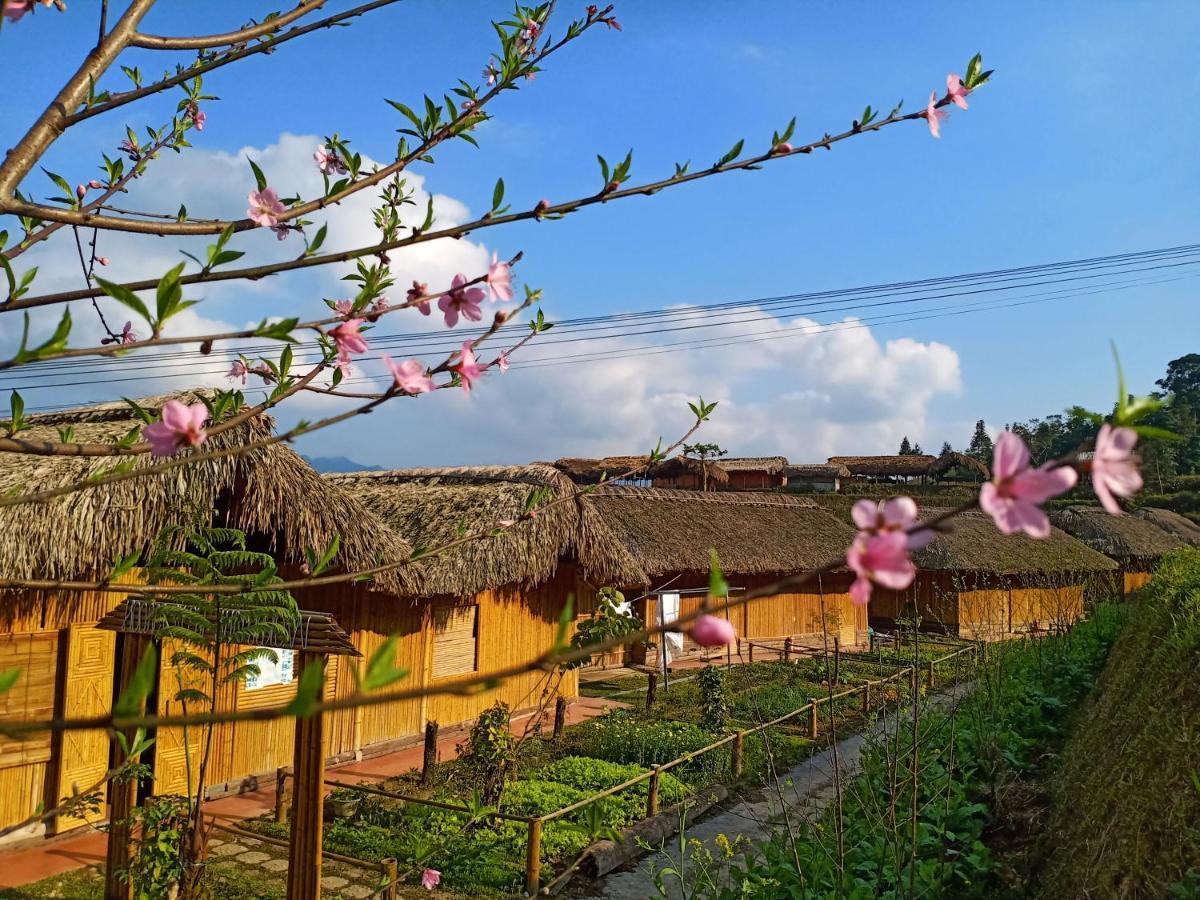 Hoàng Su Phì Bungalow Extérieur photo