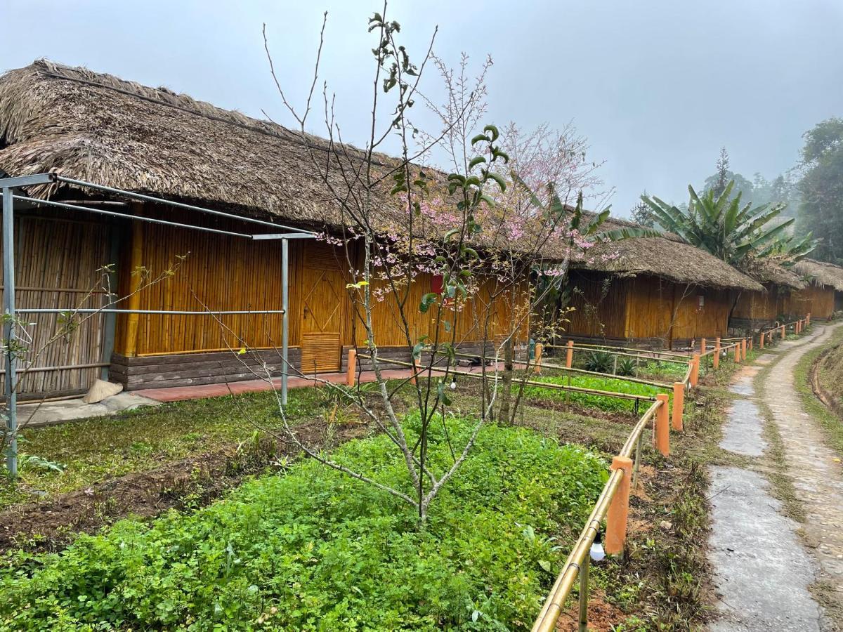 Hoàng Su Phì Bungalow Extérieur photo